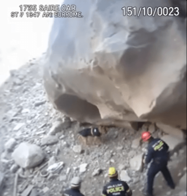 Missing 8-Year-Old Found Alive After Rescue Dog Leads Teams to Hidden Shelter - QuickStory