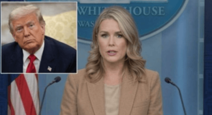 Leavitt Sets Media Straight With Fact-Check On Joe Biden
