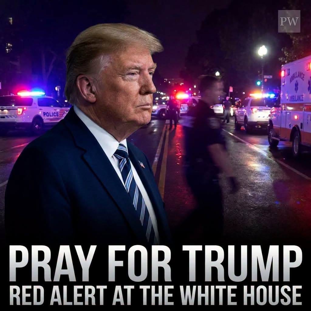Very Dangerous Concerning President Donald Trump Faces Warning ....